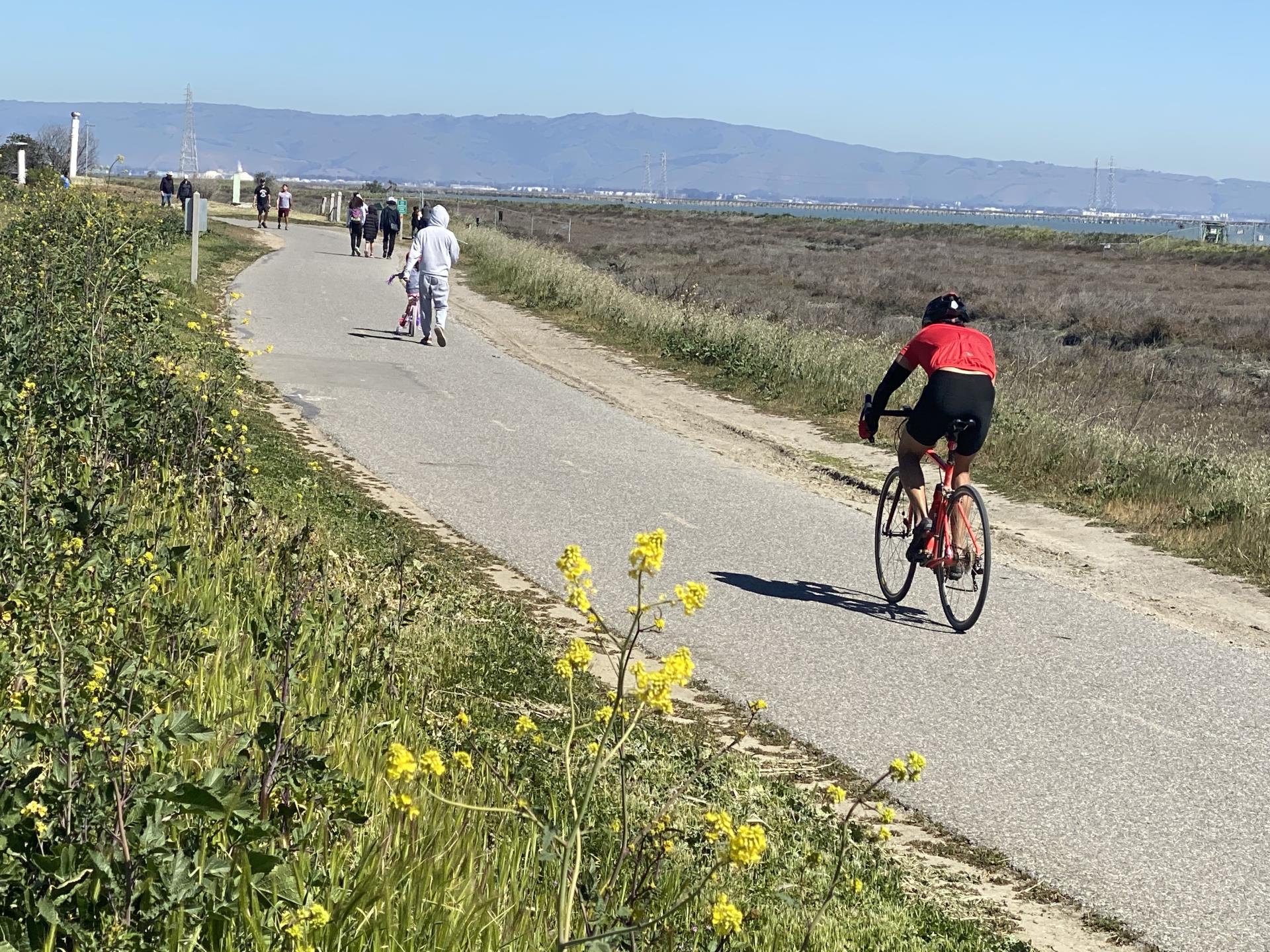 Bicyclists at Shoreline at Mountain View Regional Park and Recreation Area