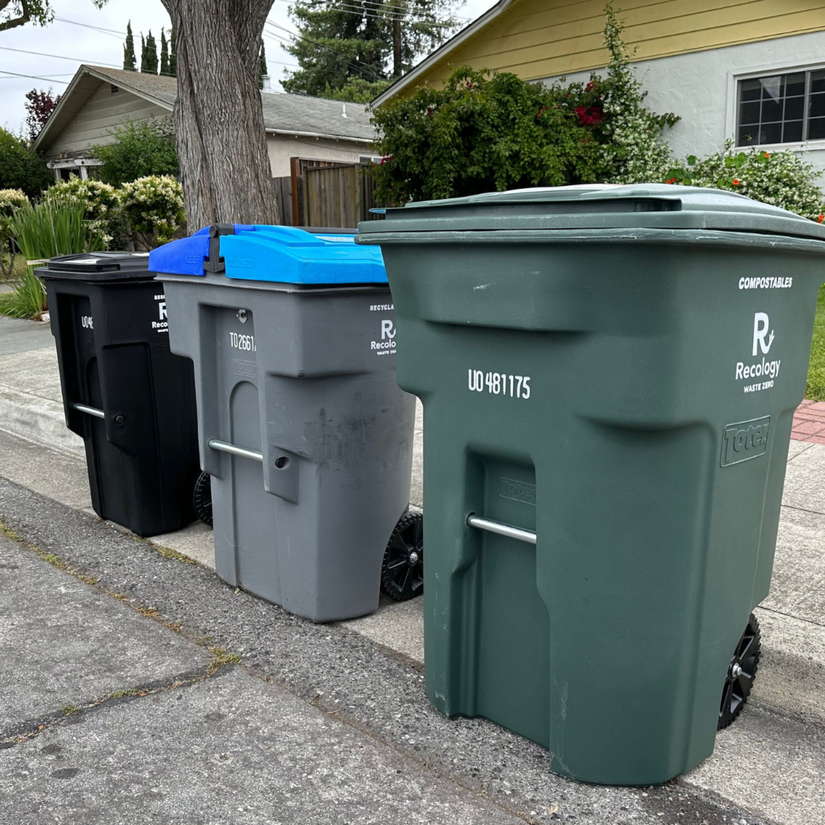 Holiday Trash Collection Schedule